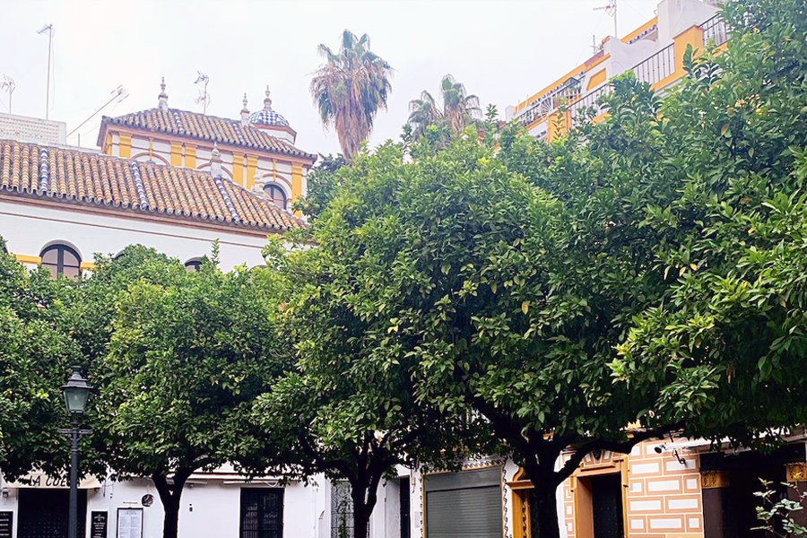 weekend in seville barrio santa cruz weekend in seville barrio santa cruz