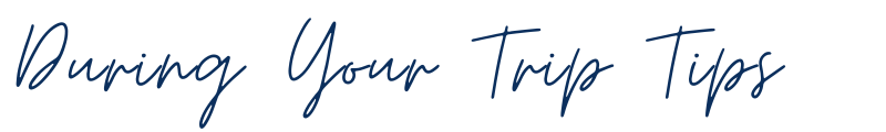 Top Travel Tips During Your trip Tips