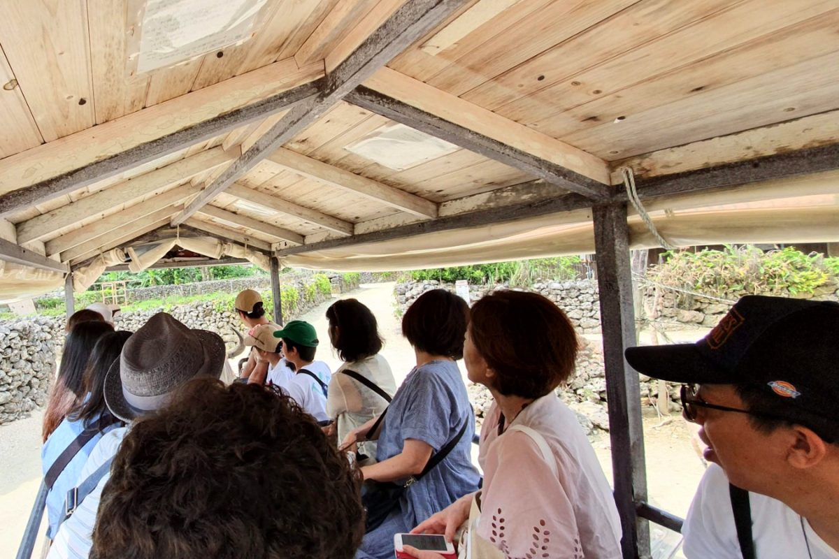 20190519 100009 edited 1 Passengers inside a water buffalo cart on Taketomi Island