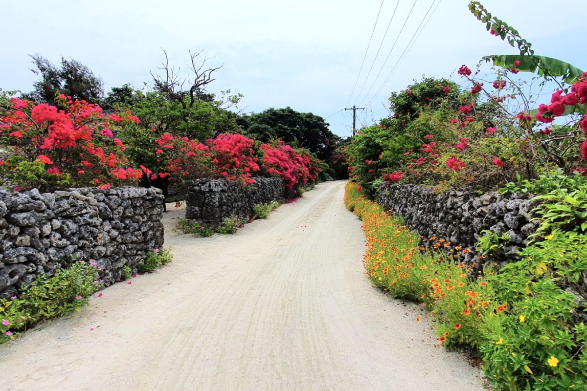 20190519 104508 edited 1 Flower-lined street between traditional houses in Taketomi village