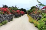 Flower-lined street between traditional houses in Taketomi village
