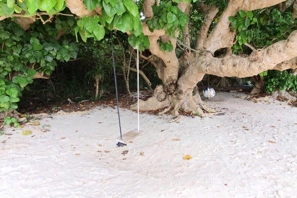 20190519 141426 edited Tree and rope swing beside the beach on Taketomi Island