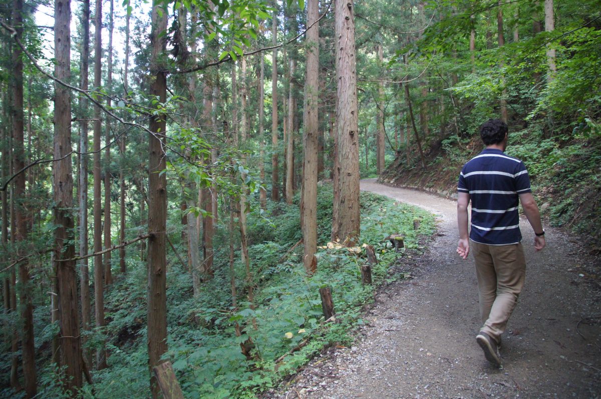 DSC00212 Gary walking along the green forest trail to Jigokudani Monkey Park in September