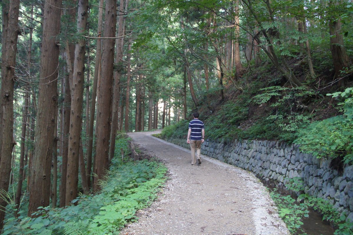 DSC00231 Gary walking along the winding forest trail to Jigokudani Monkey Park