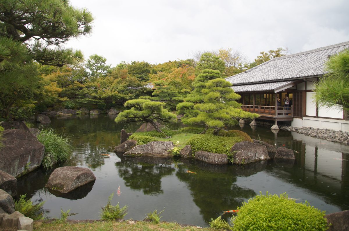 DSC00246 2 Pond, pine trees and a waterside pavilion in Koko-en Garden