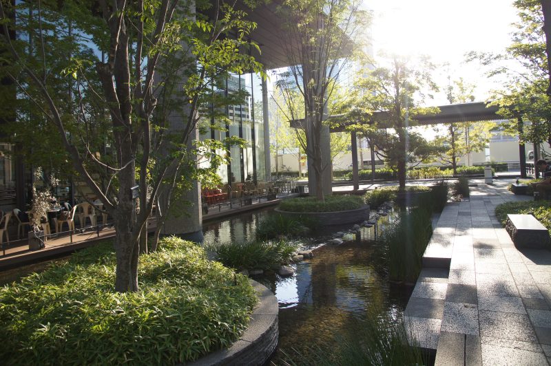 DSC00533 Sunlit landscaped terrace garden with trees and water at Grand Front Osaka