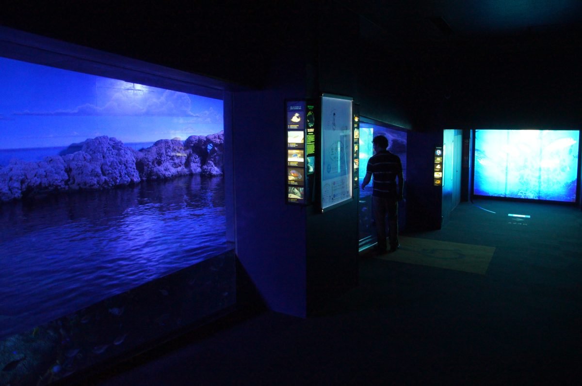 Gary walking between illuminated aquarium displays inside Osaka Aquarium Kaiyukan