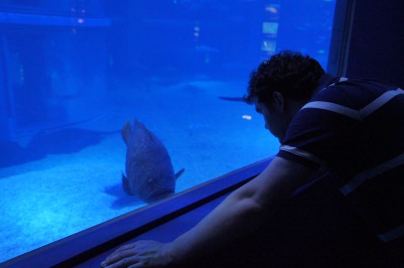 Gary leaning beside a viewing window at Osaka Aquarium Kaiyukan