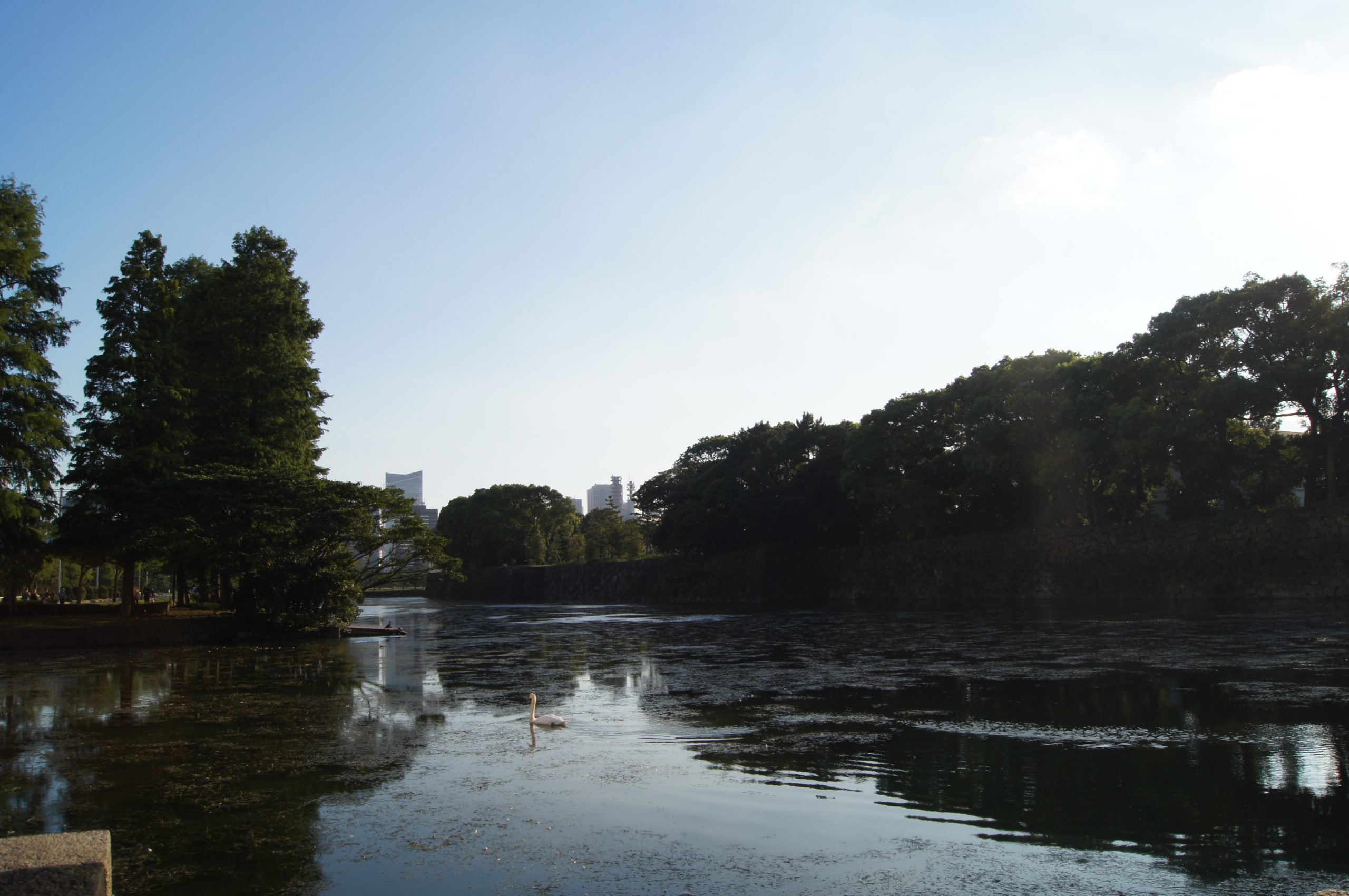 DSC05270 scaled Calm water reflects the wooded banks of the Imperial Palace grounds in Tokyo.