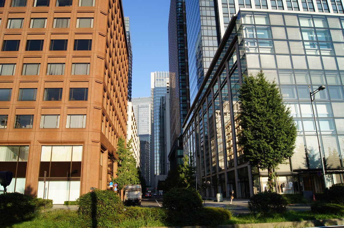 DSC05279 Glass and brick office towers above a tree-lined street in Marunouchi