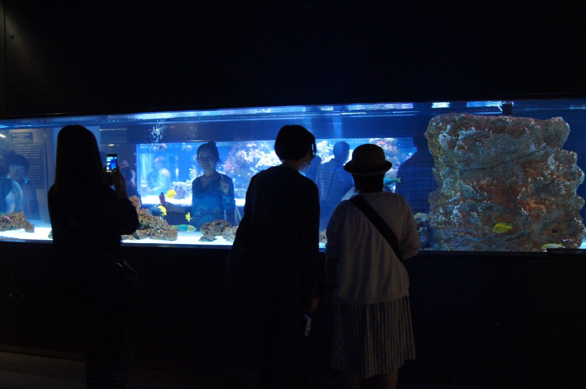 Visitors standing in front of a blue-lit coral fish tank at Sumida Aquarium