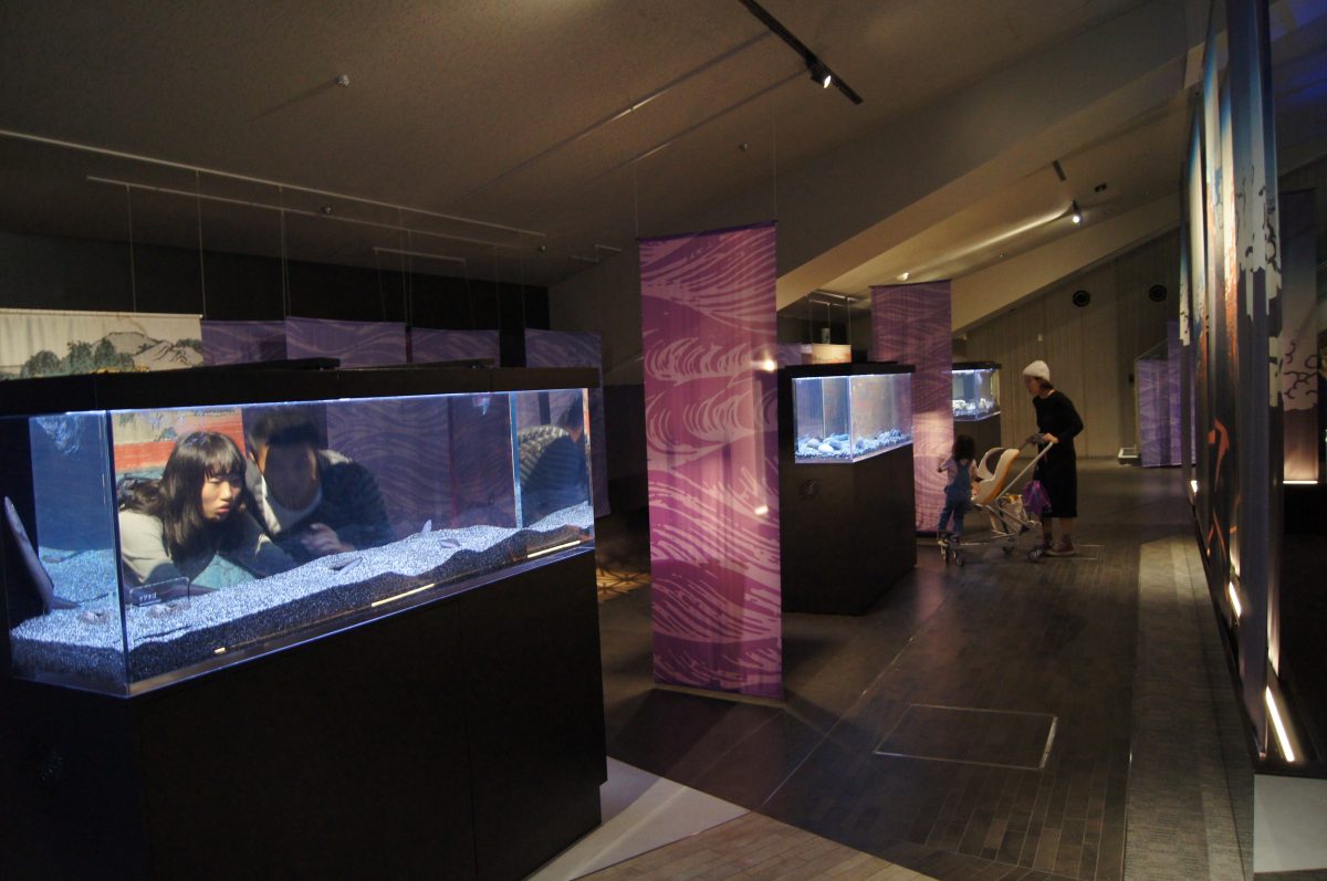 Open display tanks and visitor circulation inside Sumida Aquarium