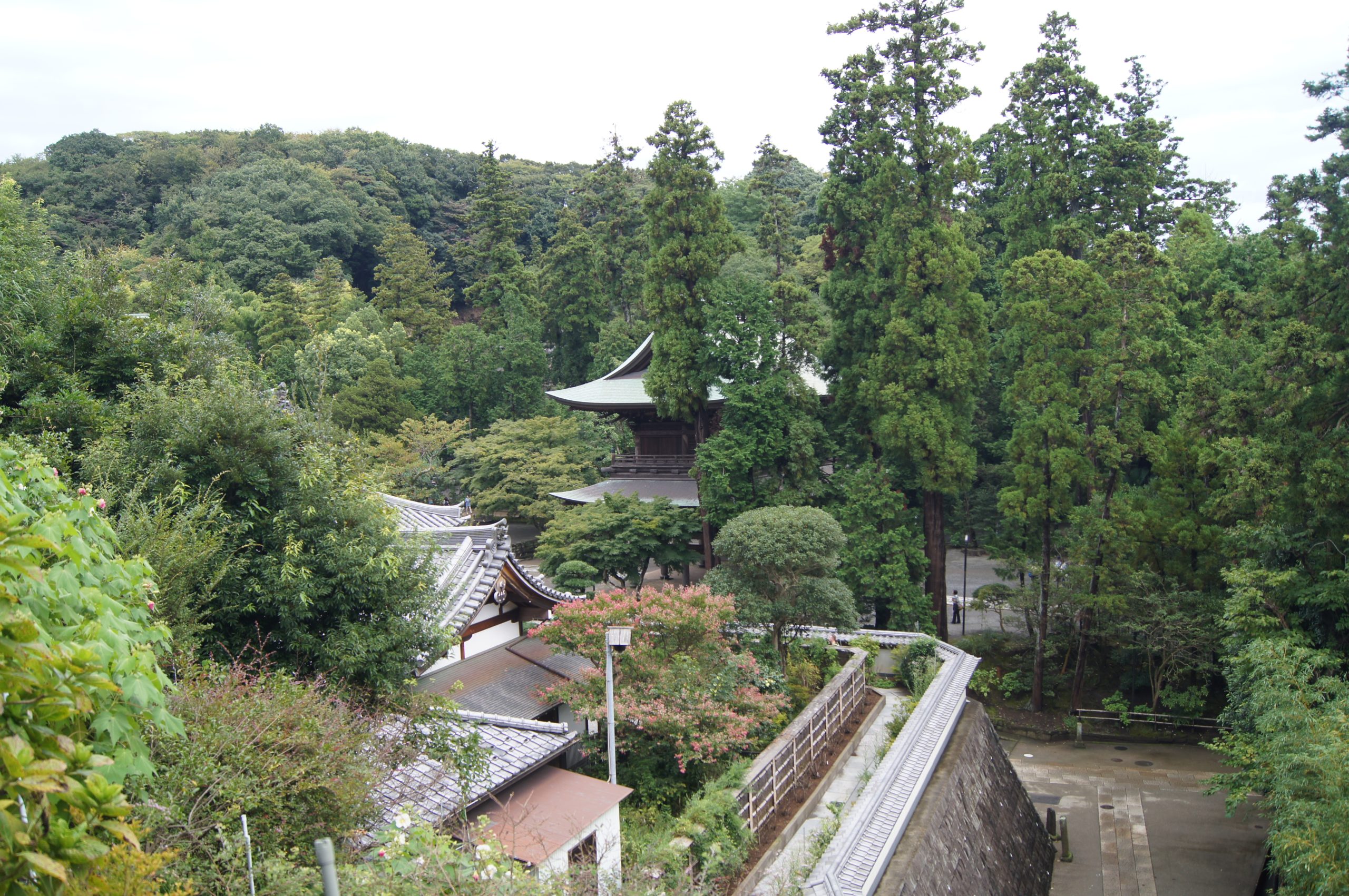 Tiled temple roofs and the Sanmon gate are seen among trees at Engaku-ji in Kita-Kamakura.