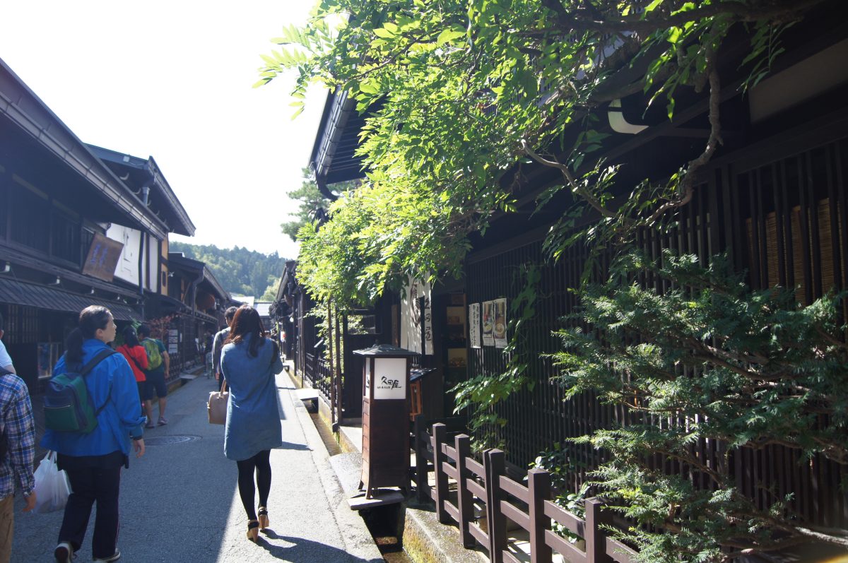 DSC06159 A narrow old-town street in Takayama runs beneath leafy trees between dark wooden buildings.