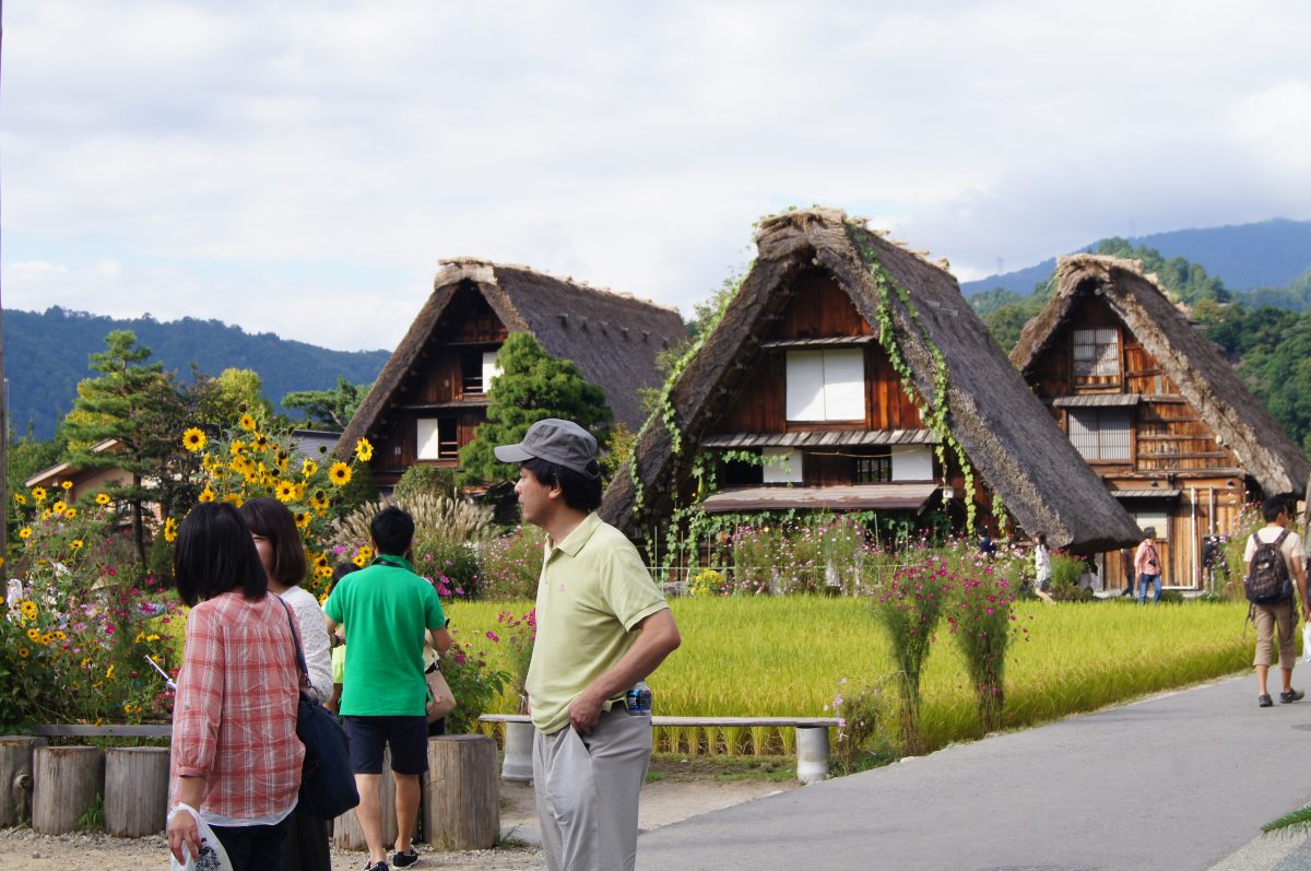 Visitors look across traditional thatched farmhouses and fields in Shirakawa-go.