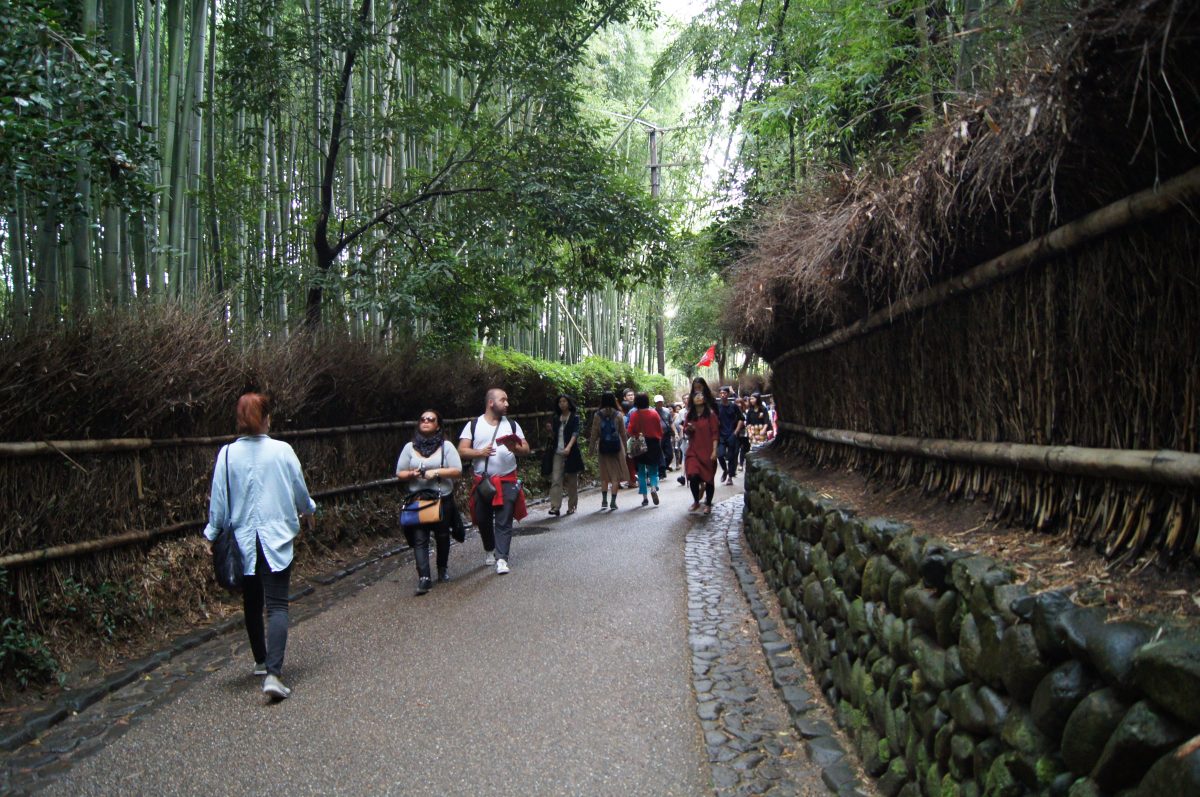 DSC06606 Visitors walk along the path through Arashiyama Bamboo Grove in Kyoto
