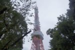 Tokyo Tower rising between trees in Shiba Park on a grey day