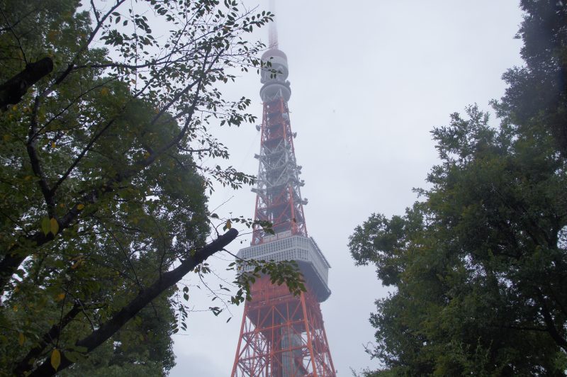 DSC07167 Tokyo Tower rising between trees in Shiba Park on a grey day
