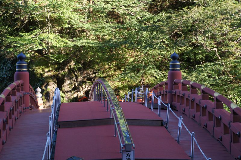 DSC07738 Shinkyo Bridge surrounded by green cedar trees in Nikko