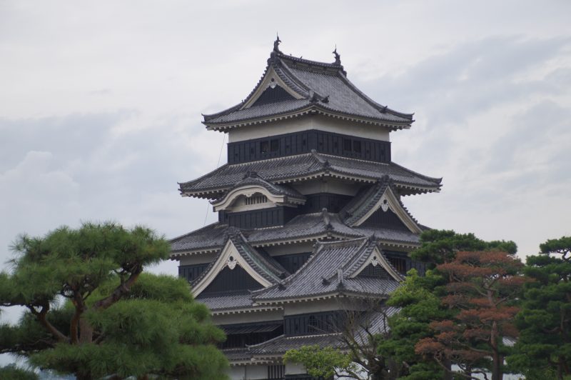 DSC09227 Black and white main keep of Matsumoto Castle seen from the grounds