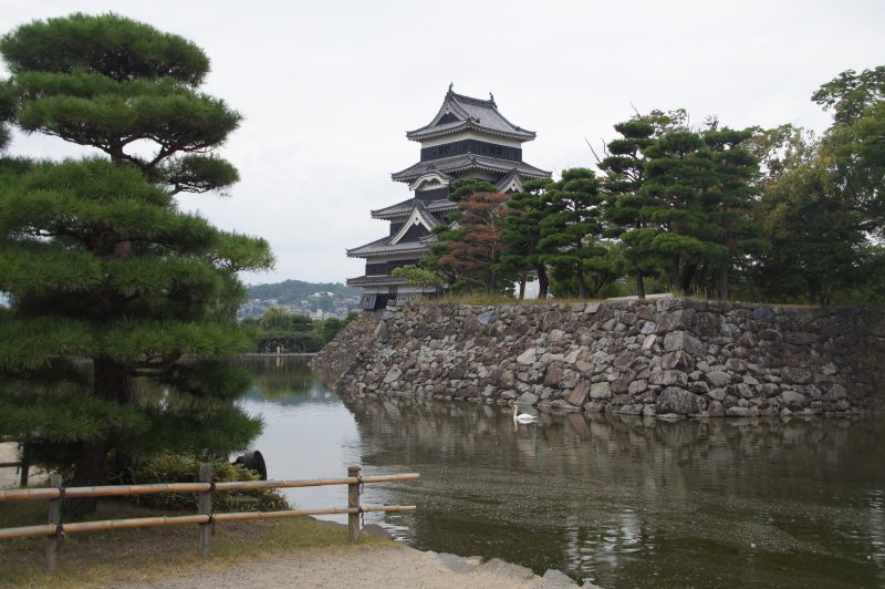 DSC09230 Matsumoto Castle across the moat framed by sculpted pine trees