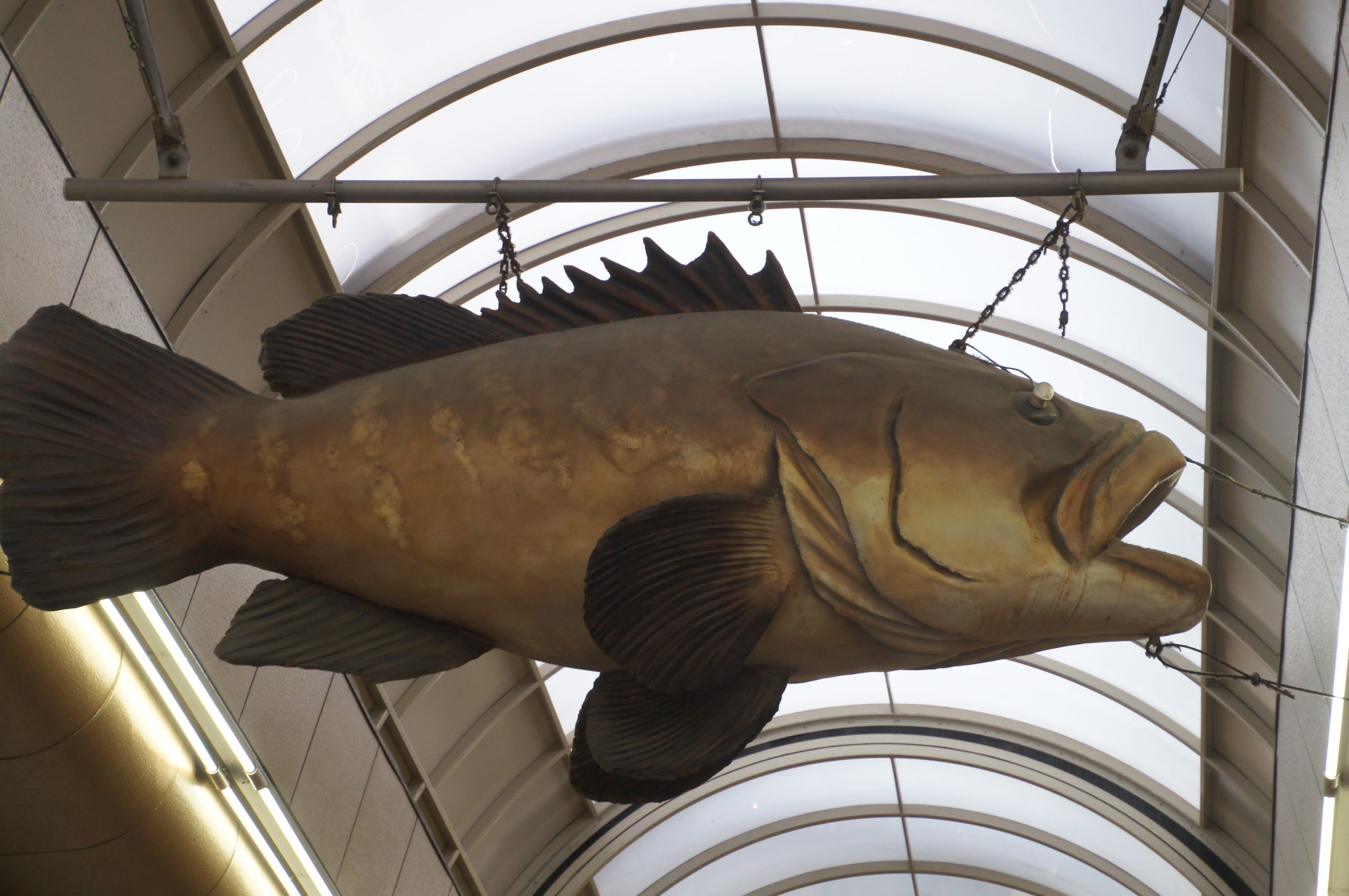 Large fish sculpture hanging beneath the roof of Kuromon Ichiba Market