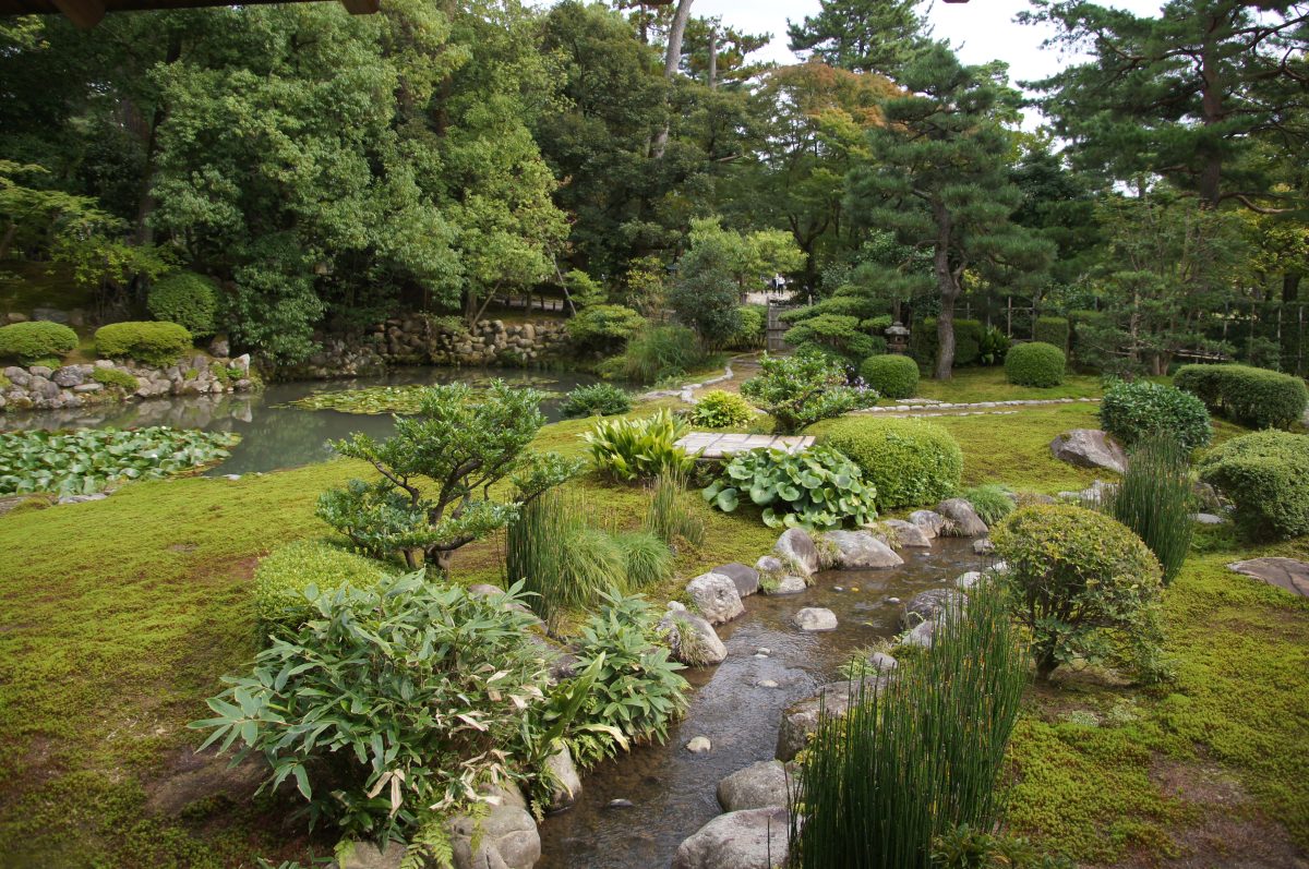 Pond, moss and clipped shrubs in the garden beside Shigure-tei