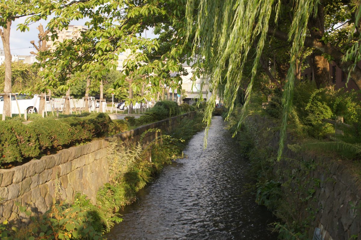 Tree-lined canal with stone walls near Nagamachi in Kanazawa