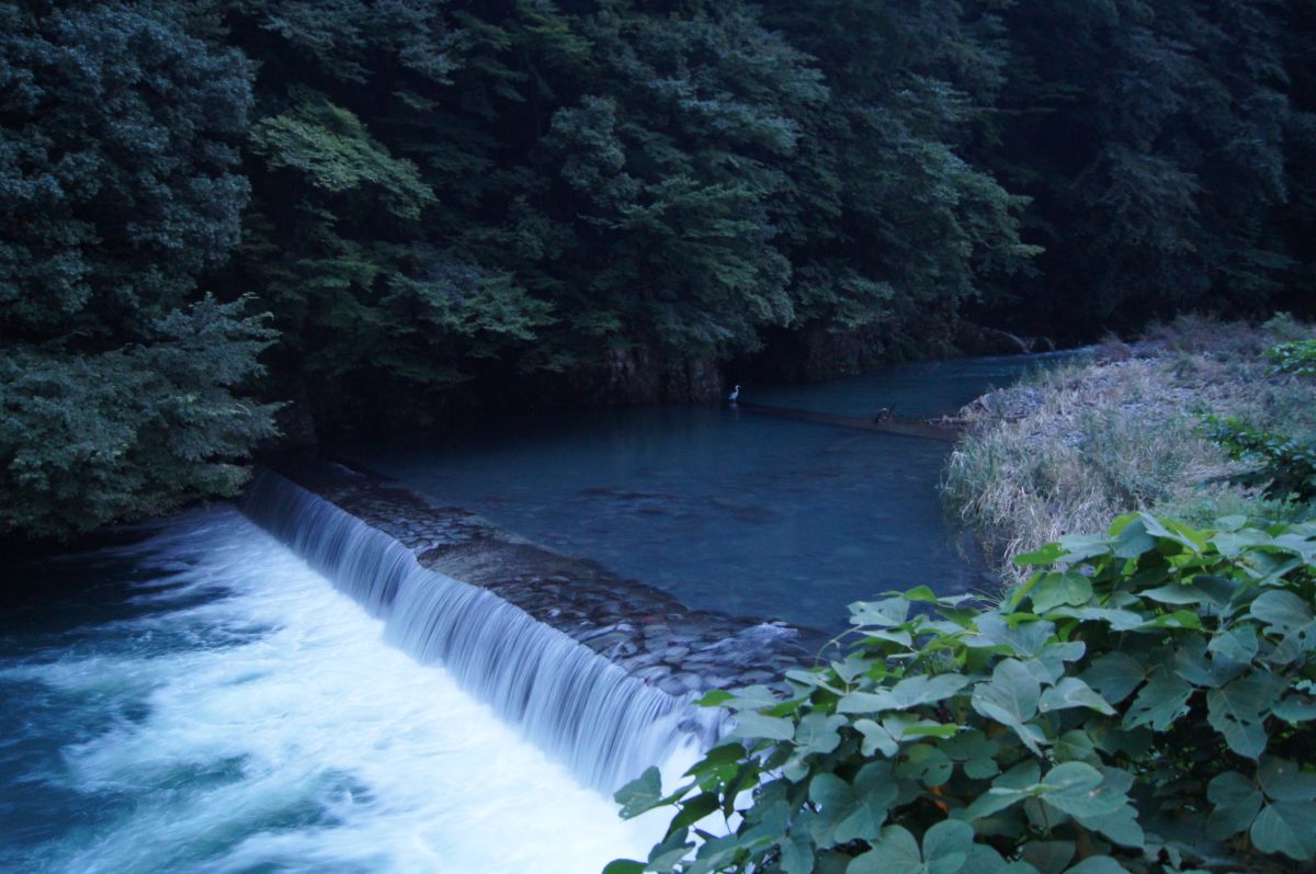 Hakone 100 Water tumbling over a weir beside dark trees in Hakone.