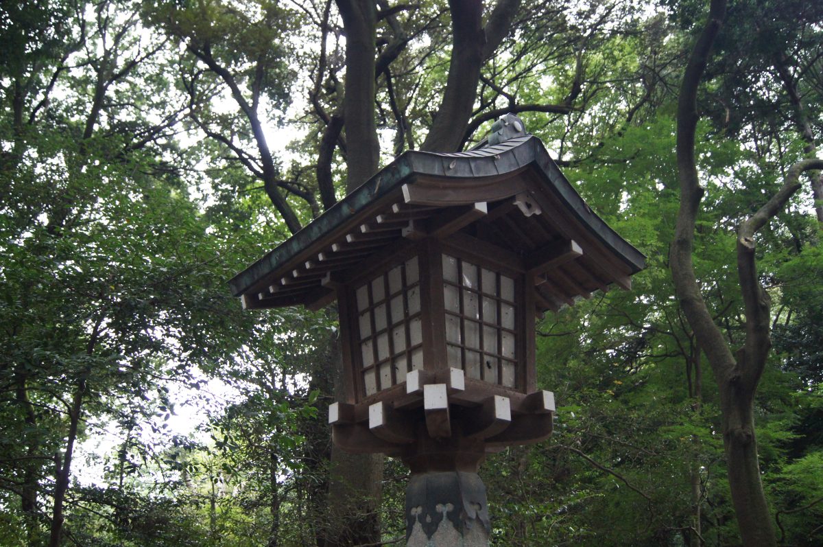 A stone lantern beside the forest path at Meiji Jingu.