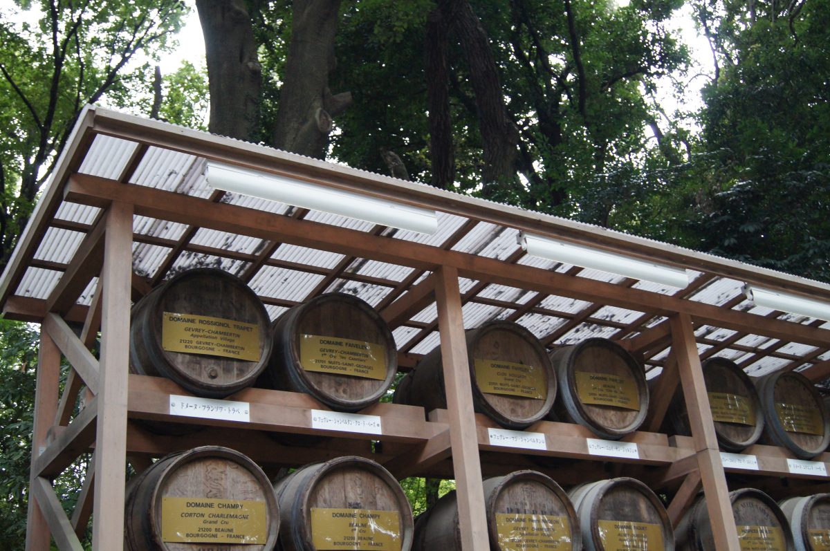 Barrels stacked on wooden racks beside the path at Meiji Jingu.