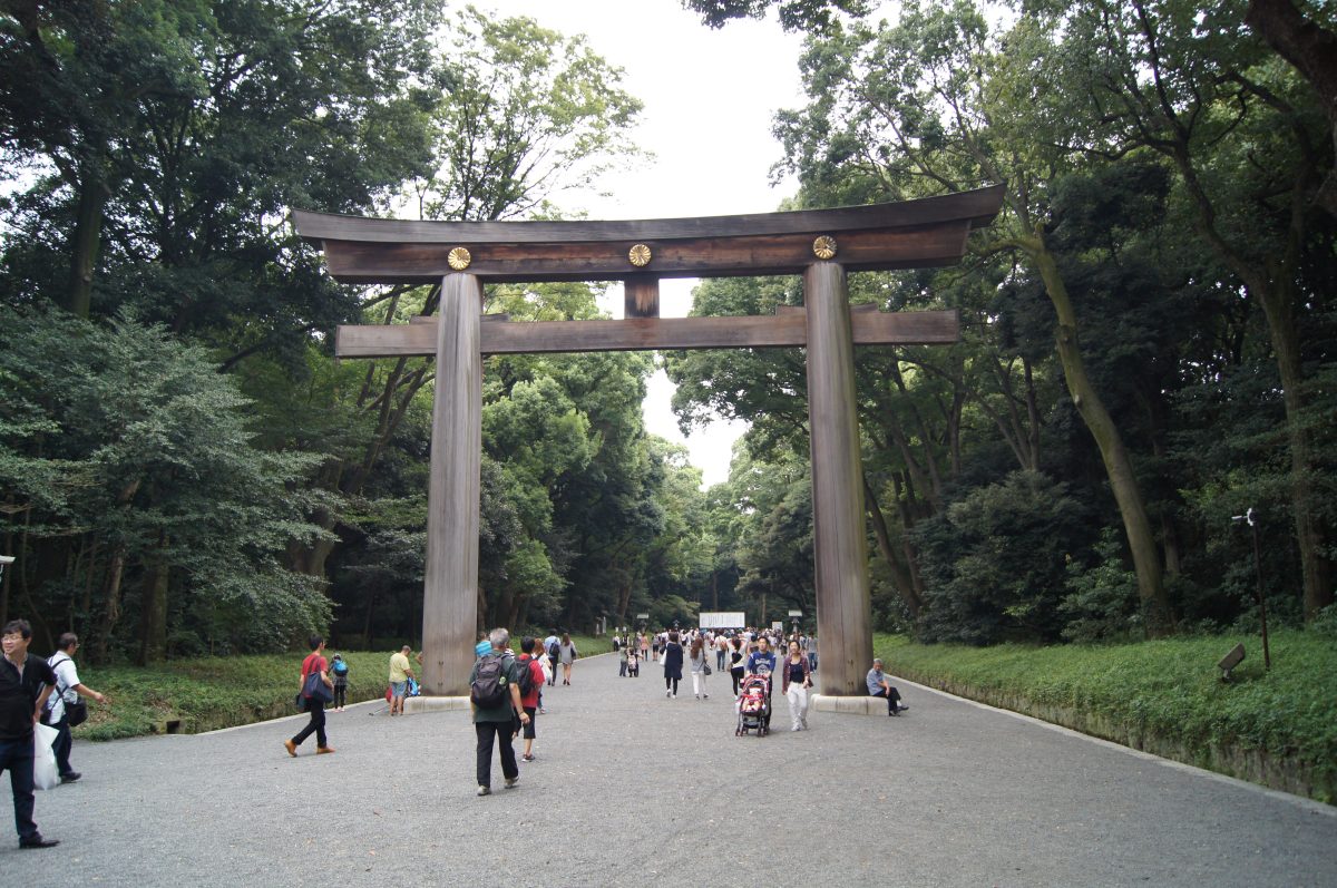 A wooden torii gate stands on the forest approach at Meiji Jingu.