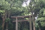A large wooden torii gate framed by trees on the approach to Meiji Jingu.