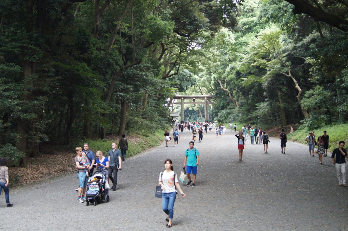 Visitors walk along the wide gravel approach through the forest at Meiji Jingu.