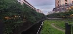 Leafy trees and buildings beside the Meguro River at dusk in Nakameguro
