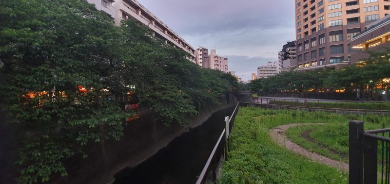 Nakameguro 47 Leafy trees and buildings beside the Meguro River at dusk in Nakameguro