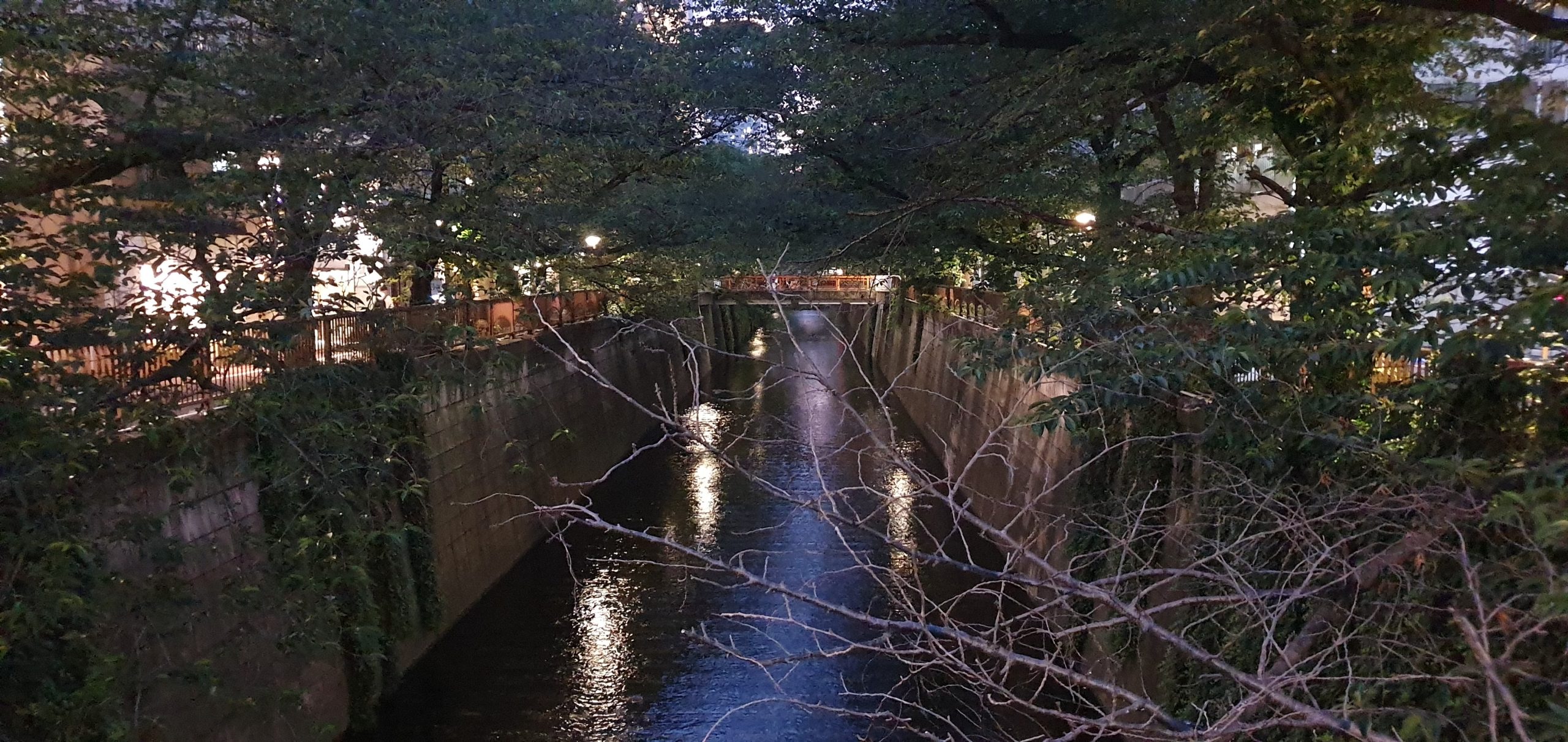 Nakameguro 53 scaled The narrow Meguro River beneath leafy branches as evening falls
