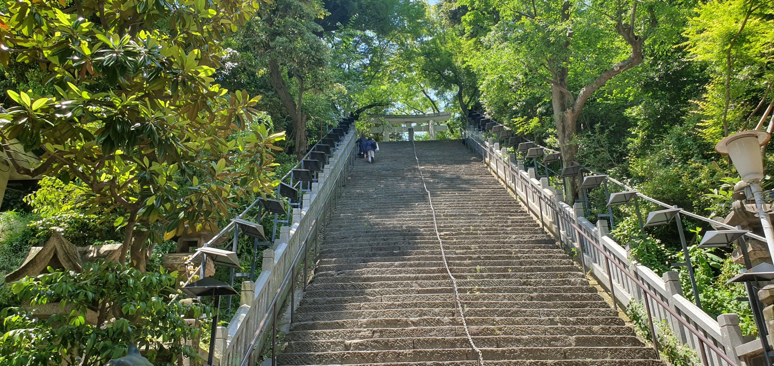 Senso ji Temple in Asakusa 15 scaled Atago Shrine's steep stone staircase rising through green trees