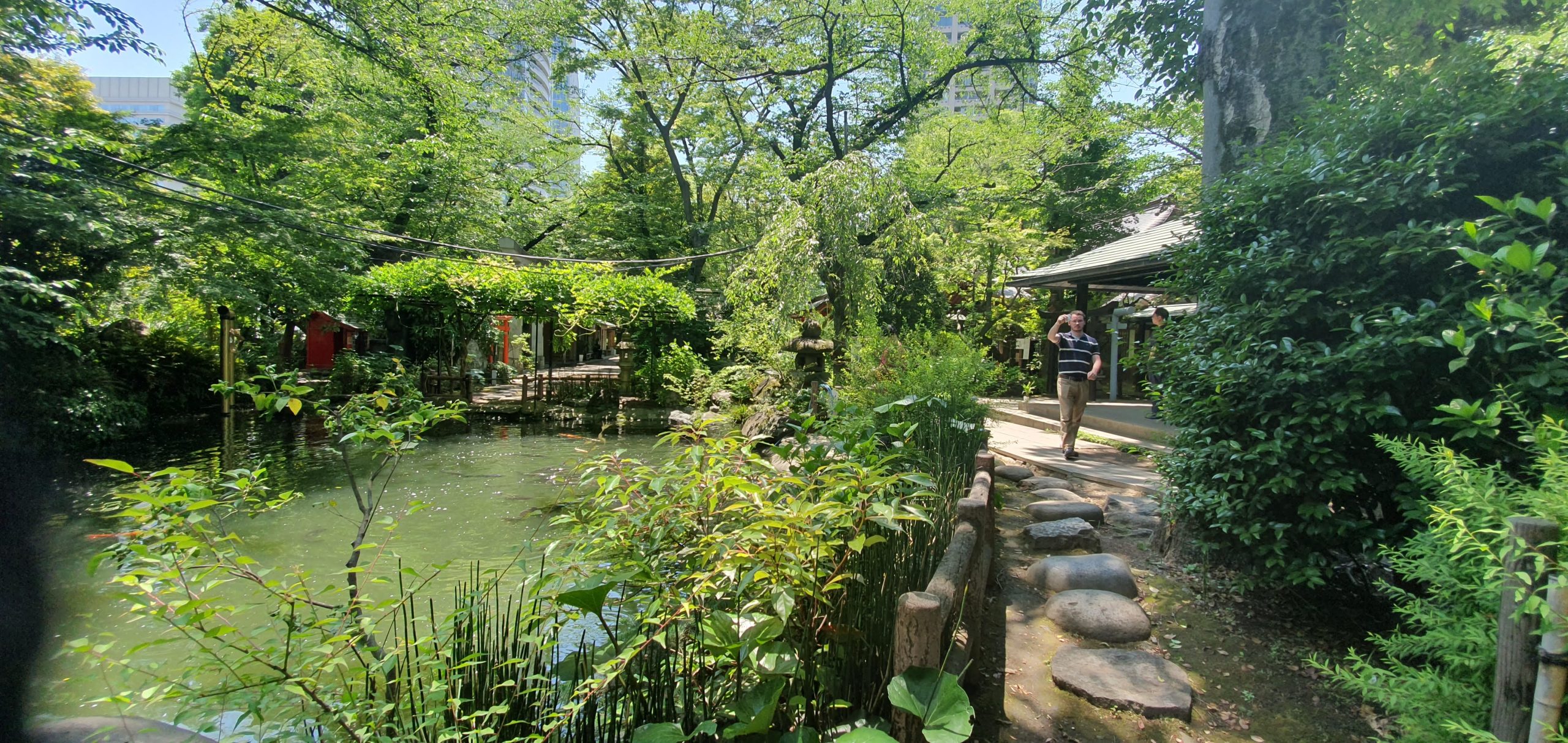 Senso ji Temple in Asakusa 40 scaled Pond and stone path in Atago Shrine's leafy grounds