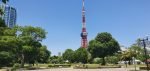 Tokyo Tower stands against a clear blue sky above the trees of Shiba Park.
