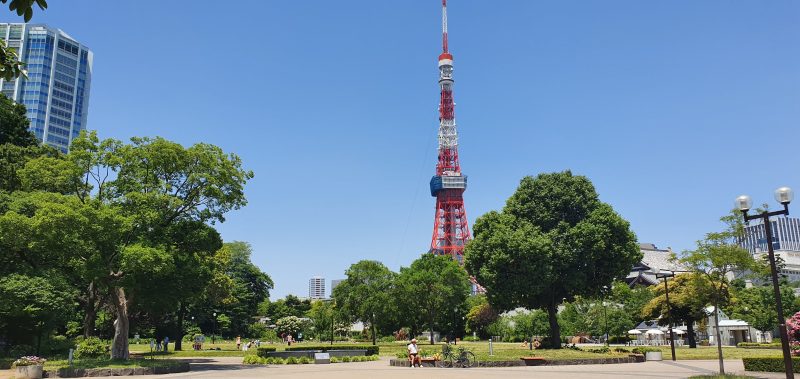 Tokyo Skytree 1 Tokyo Tower stands against a clear blue sky above the trees of Shiba Park.