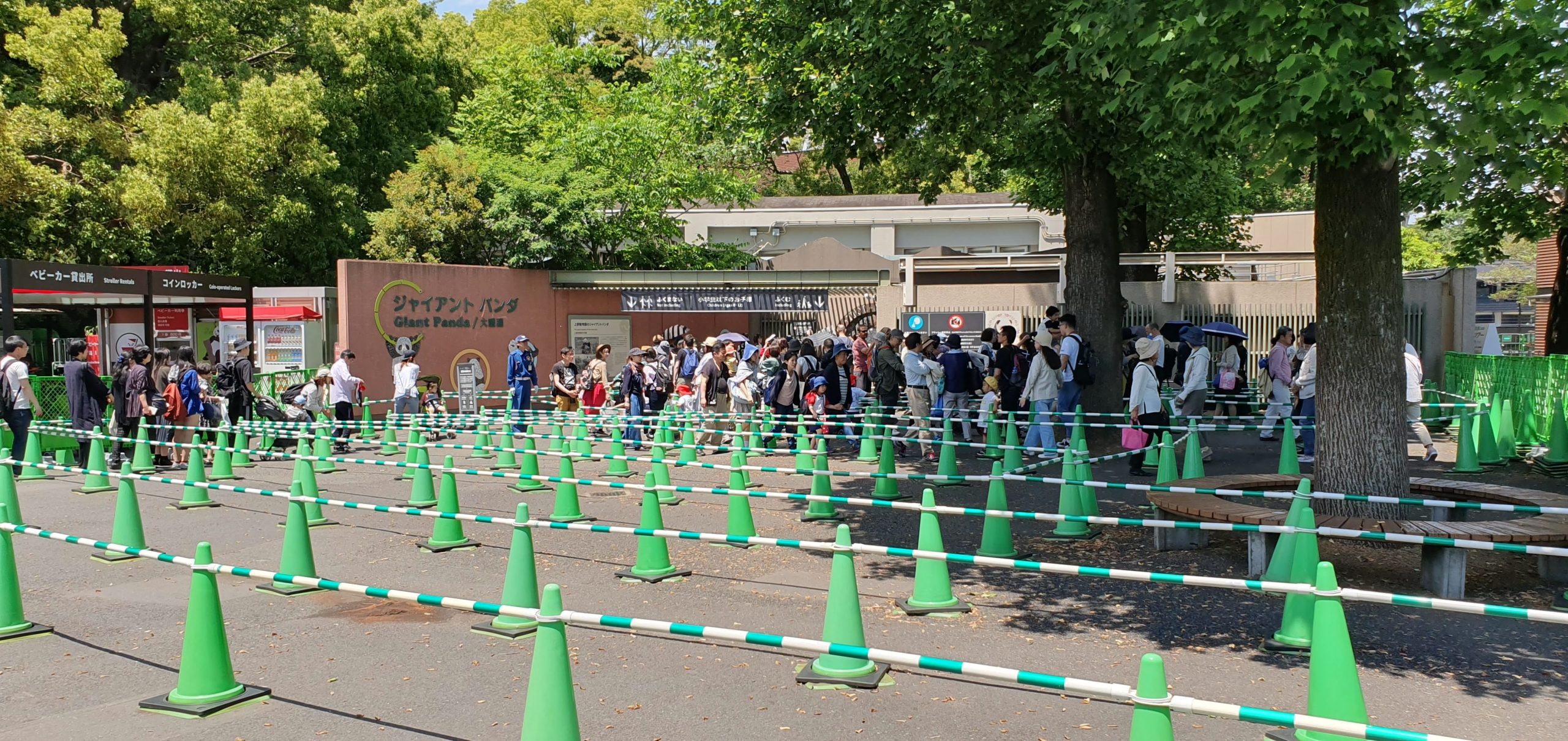 Visitors queuing outside the former giant panda exhibit at Ueno Zoo