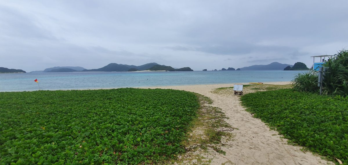 Zamami 14 Sandy path through green groundcover towards a quiet beach on Zamami Island