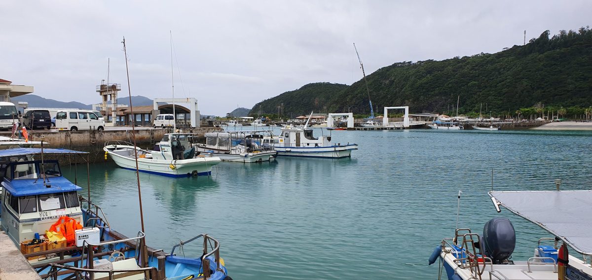 Small fishing boats moored in Zamami harbour with forested hills behind