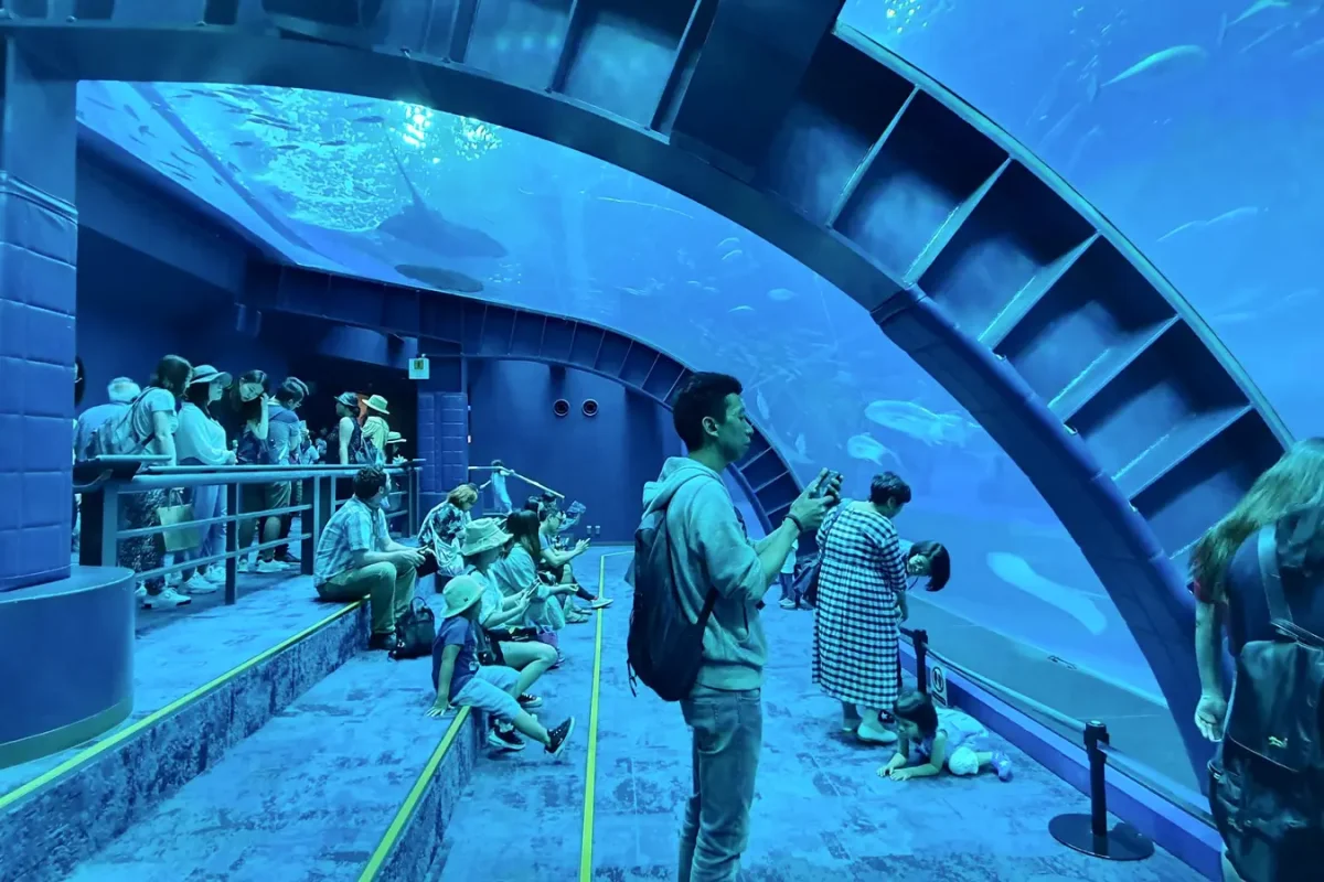 Underwater viewing tunnel at Okinawa Churaumi Aquarium