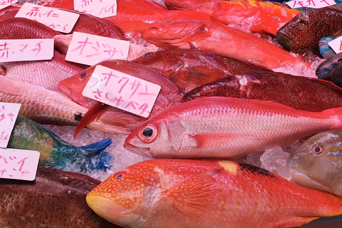 okinawa fish display at makishi public market 11384 Fish displayed for sale at Makishi Public Market in May 2019