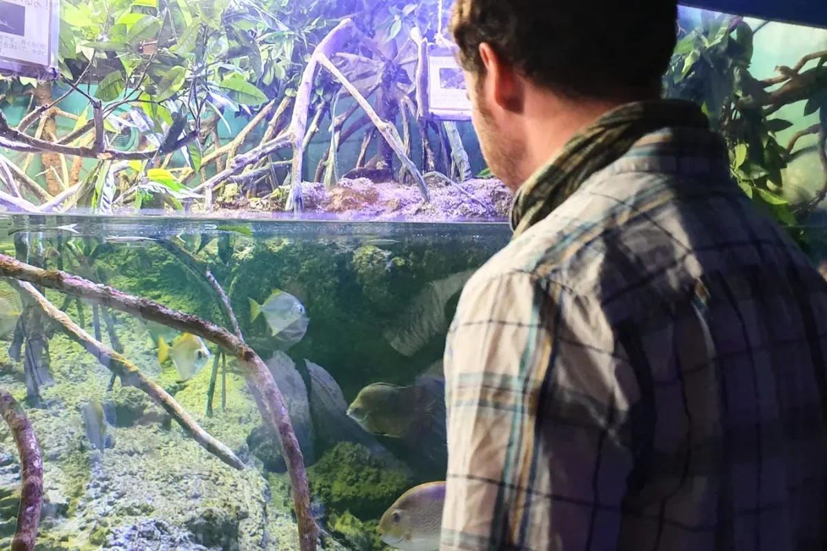 Gary looking into an exhibit at Okinawa Churaumi Aquarium
