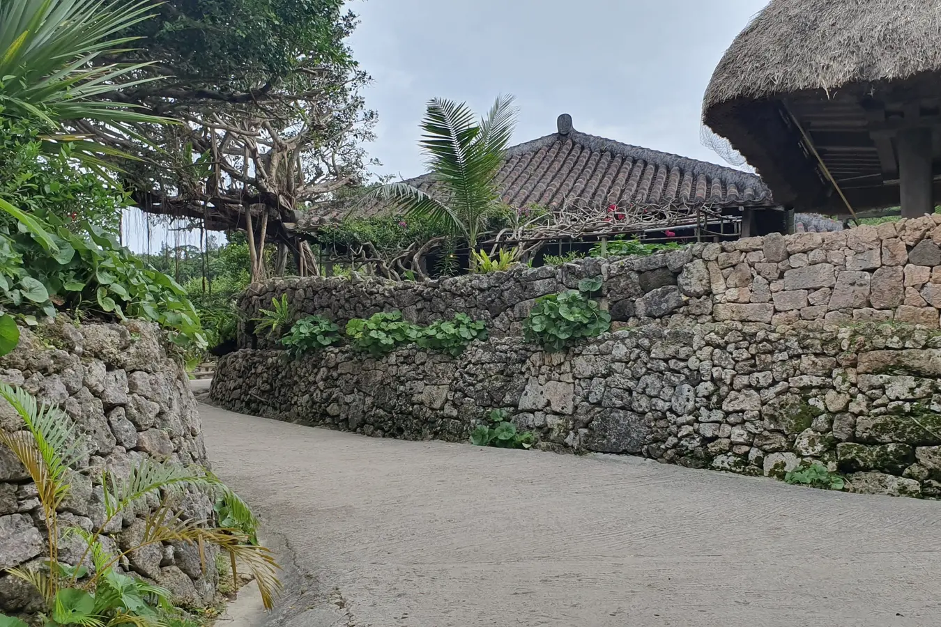 Stone-walled lane at Ryukyu Mura