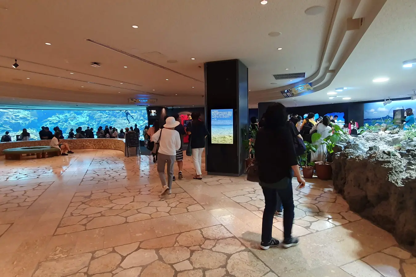 Interior of Churaumi Aquarium