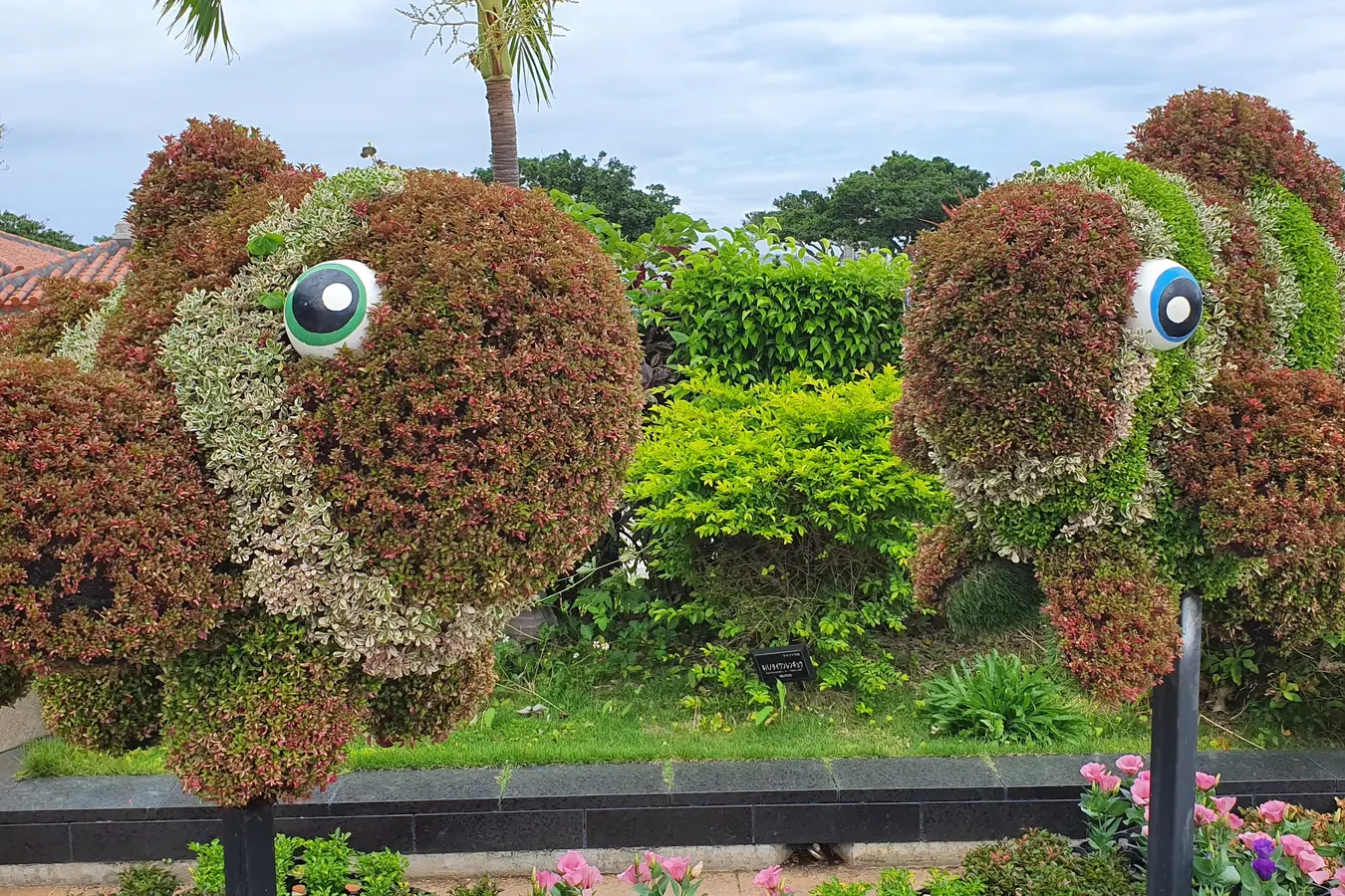 Fish-shaped garden display at Ocean Expo Park
